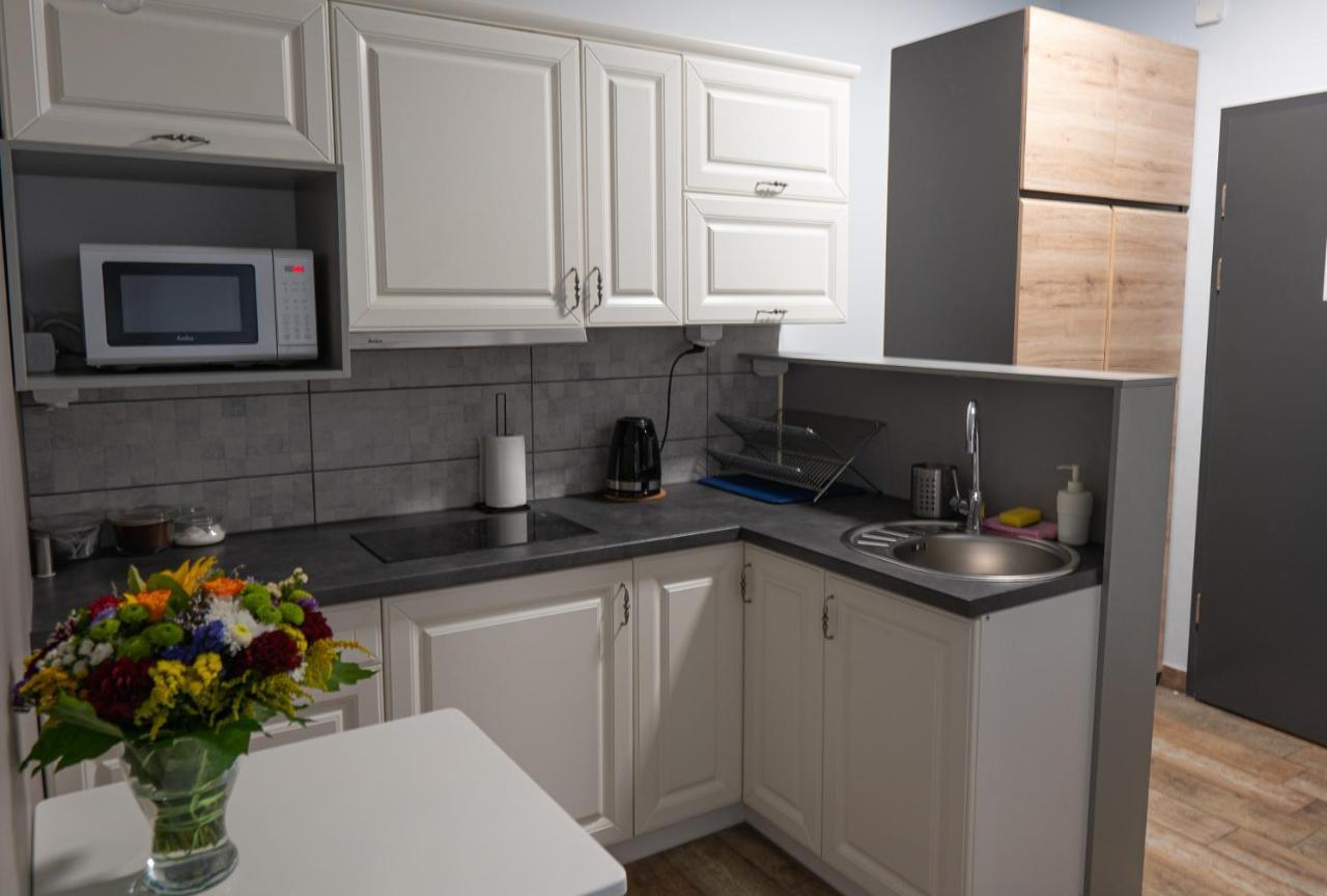 Moon Apartments Πόζναν Εξωτερικό φωτογραφία