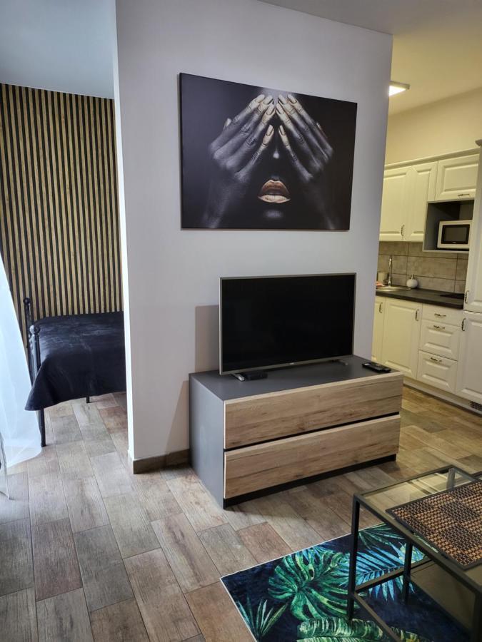 Moon Apartments Πόζναν Εξωτερικό φωτογραφία
