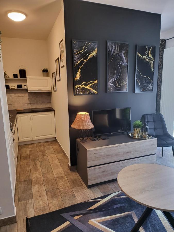 Moon Apartments Πόζναν Εξωτερικό φωτογραφία